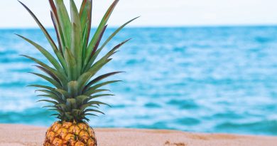 REFRESHING LIME PINEAPPLE AND BASIL SORBET