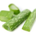 HOMEMADE TROPICAL BEAUTY MASK FOR SUN DAMAGED SKIN aloe vera leaf