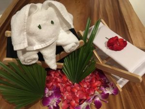 SUGAR & SPICE AUSTRALIA FOR THE BEACHSIDE LOVERS elephant towel