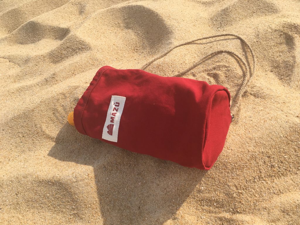 THE PERFECT SWIM SHORTS WITH MAZU SWIMWEAR carry bag