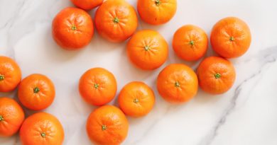 dairy-free mandarin chocolate mousse