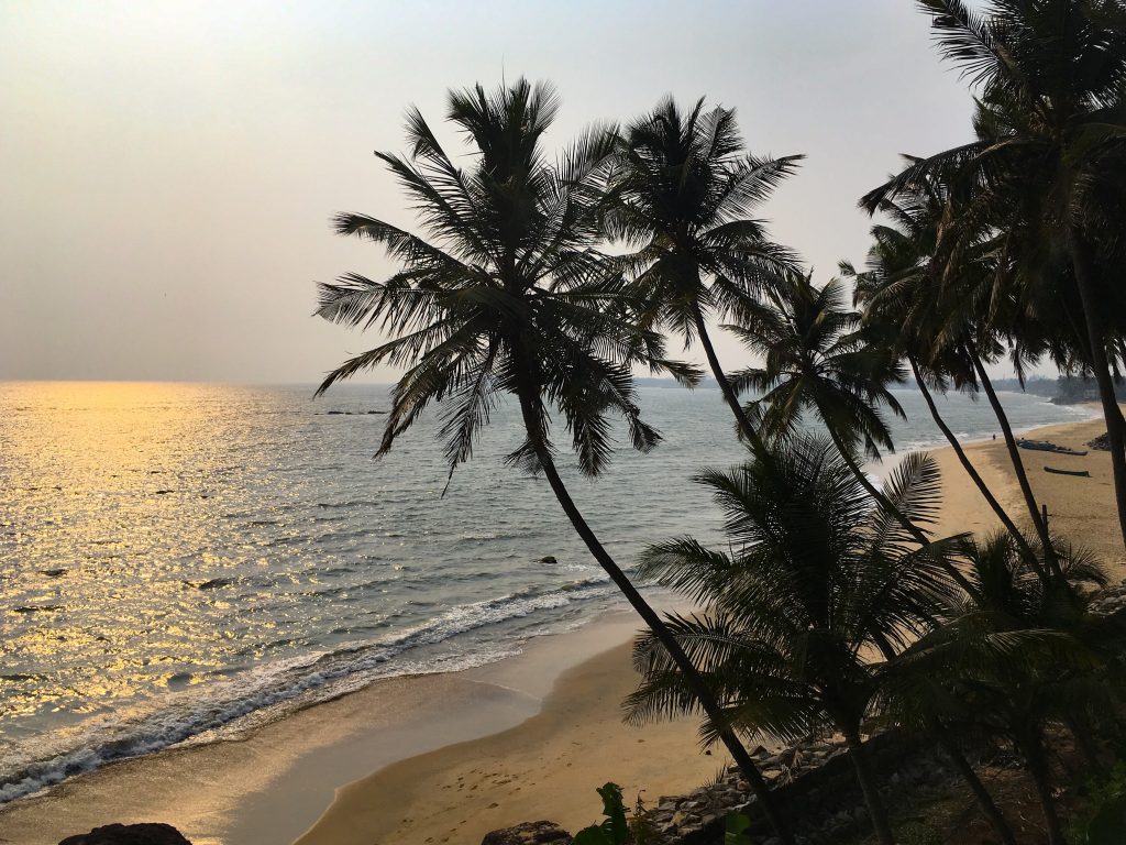 Secluded-Beaches-in-Kerala-Adikadalayi-Beach-sunset-palmtrees