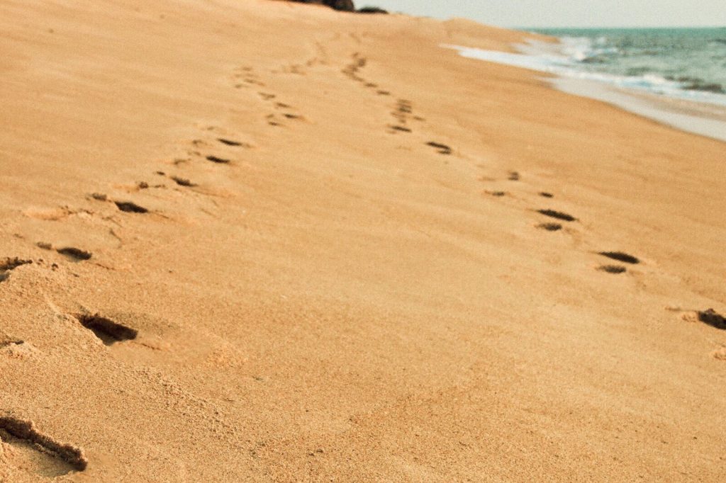 Secluded-Beaches-in-Kerala-Kappil-Beach-footprints-in-sand