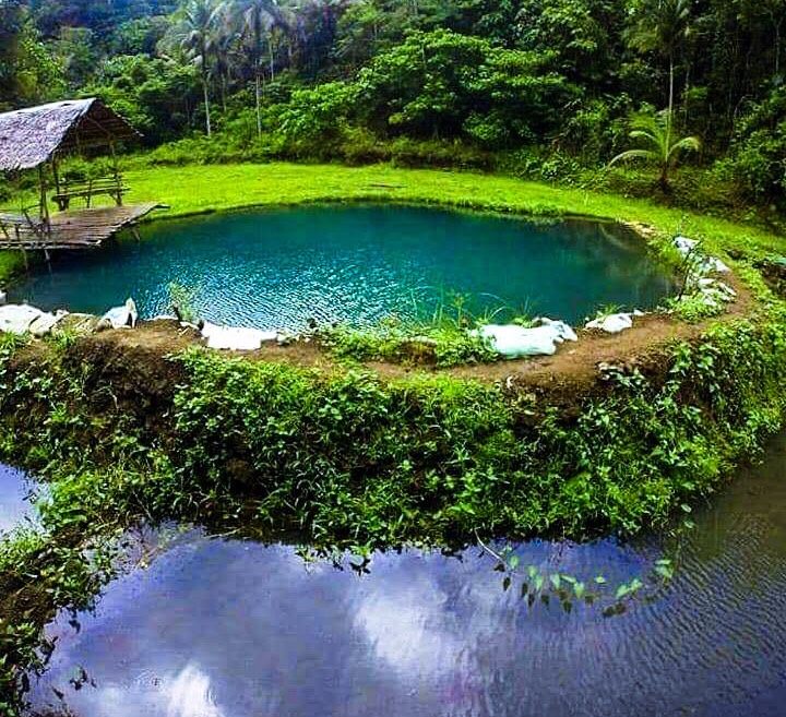 hidden-lagoon-siquijor-island-middle-of-jungle