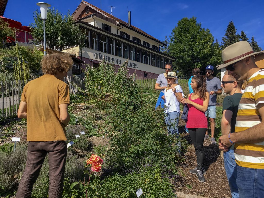 tour group learning about the herbs and plants in the krauter hotel edelweiss alpine herb garden