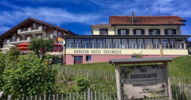 front view of Krauter Hotel Edelweiss and herb garden