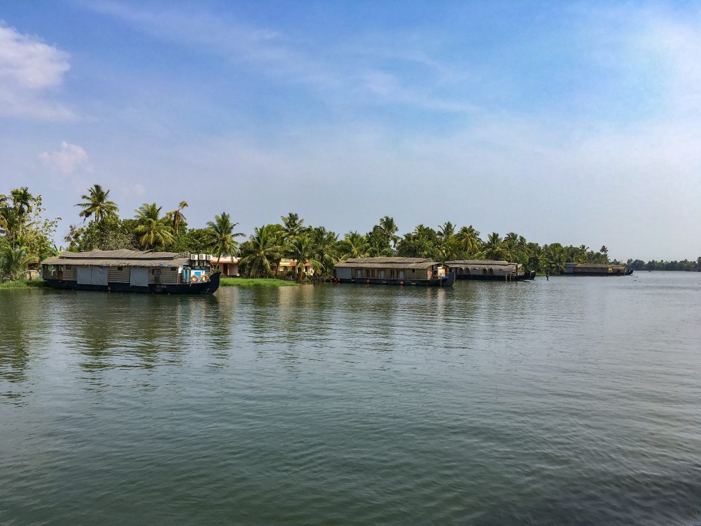 houseboats parked in alleppey