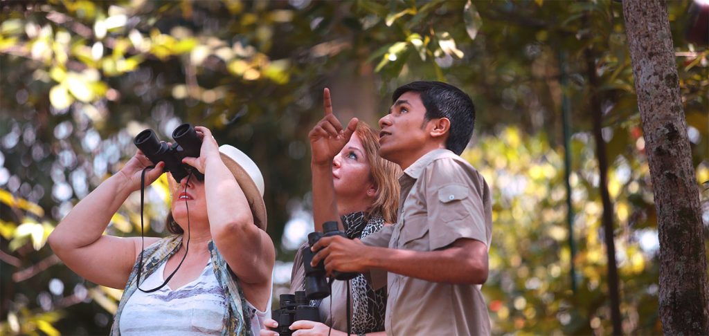 bird watching with binoculars guided by naturalist