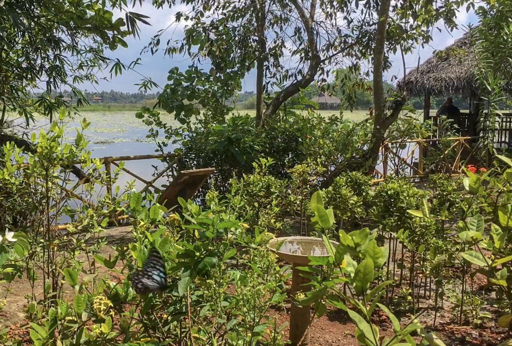 lush greenery around the butterfly garden overlooking a small lake