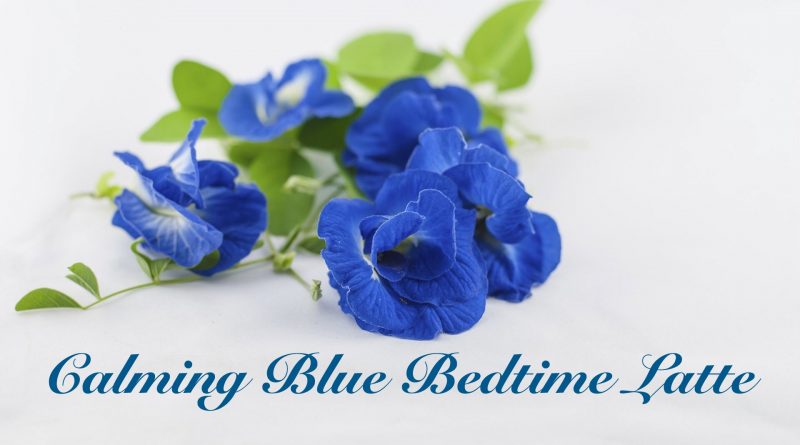bunch of blue butterfly pea flowers calming blue bedtime latte recipe