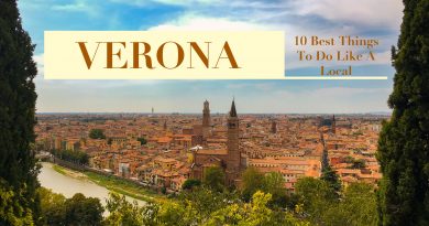 view of entire city of verona from the castle