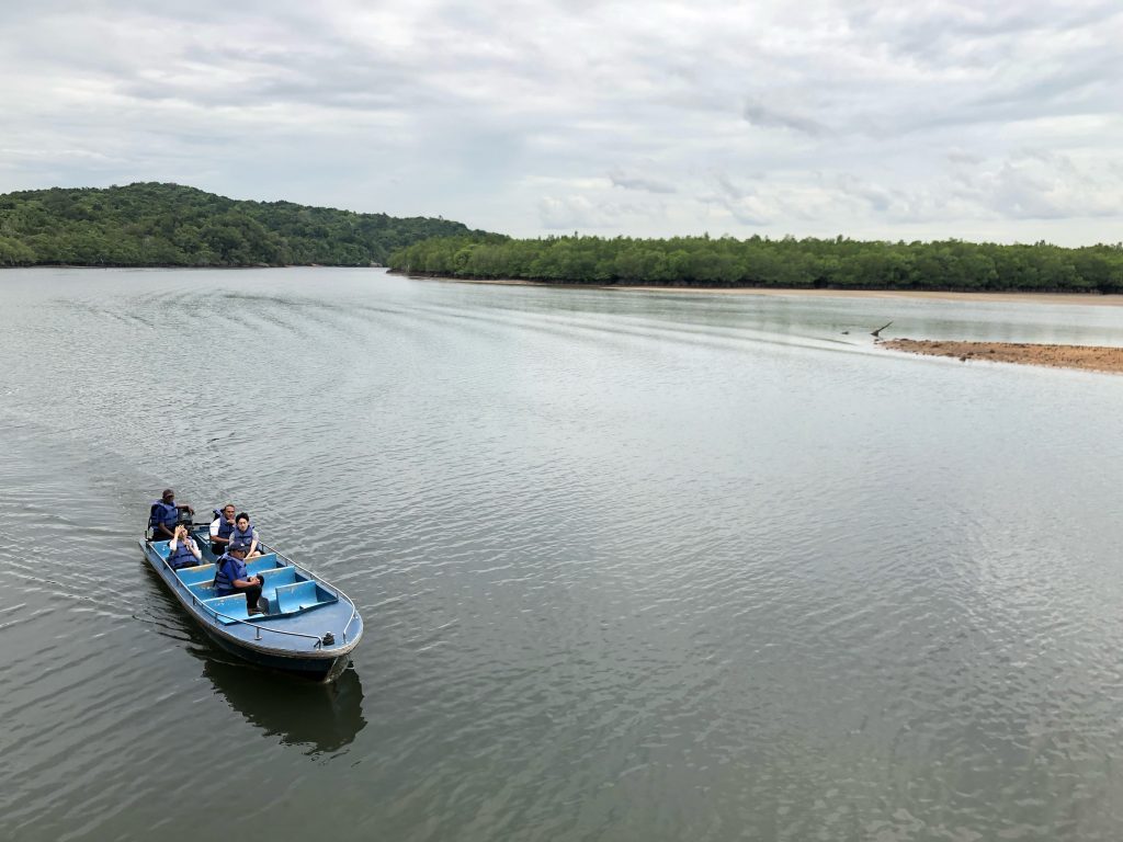 bintan island mangrove boat tour