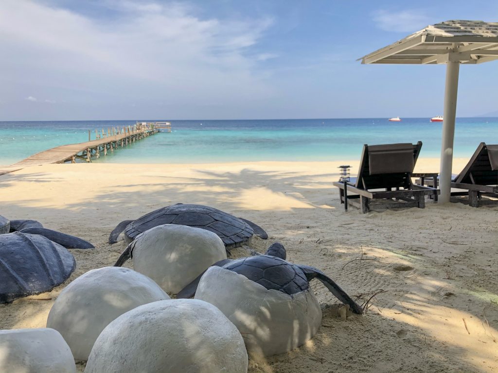 ceramic turtles coming out of eggshells heading towards the sea in lang tengah with two sun loungers and parasol 