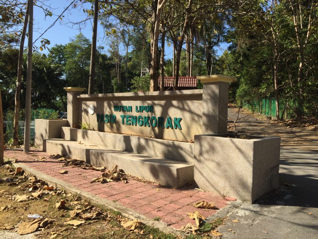 hutan lipur pasir tengkorak forest reserve main entrance parking area