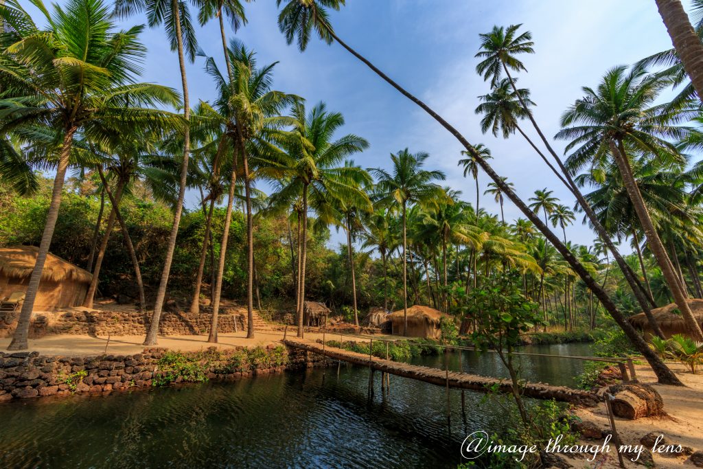 cola beach emerald lagoon river canal surrounded by palm trees in goa